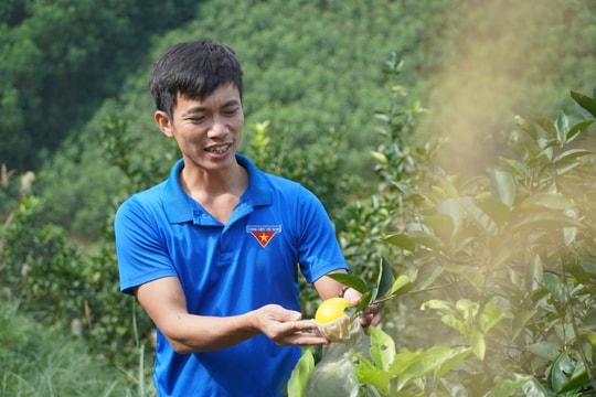 Nông dân Hà Tĩnh và hành trình biến vùng đồi hoang thành trang trại bạc tỷ