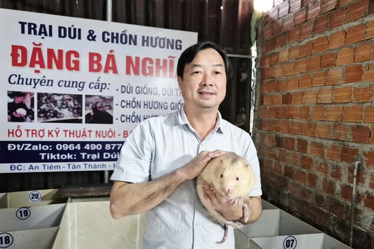 Dừng buôn bán qua biên giới, nông dân Quảng Trị đầu tư tiền tỷ nuôi "đặc sản" tìm ra sinh kế bền vững