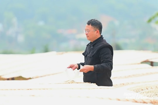 Người nông dân Quảng Ninh biến loại sản phẩm "đặc biệt" thành nguồn thu khổng lồ