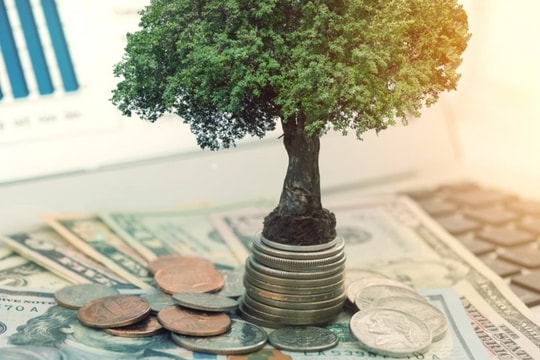 Lịch trả cổ tức bằng tiền của 5 doanh nghiệp, cao nhất lên tới 51%