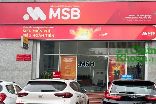 Mối quan hệ ít được nhắc tới giữa ngân hàng MSB và ROX Group
