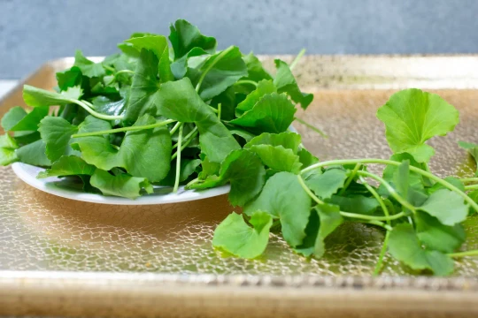 Ba loại rau này lại là "cứu tinh" giúp mát gan, giá chỉ 10.000 đồng/bó