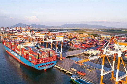 Doanh nghiệp cảng biển và bài toán thích nghi trước áp lực dư cung đội tàu