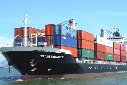 Lợi nhuận Vosco được dự báo giảm mạnh trong năm 2025