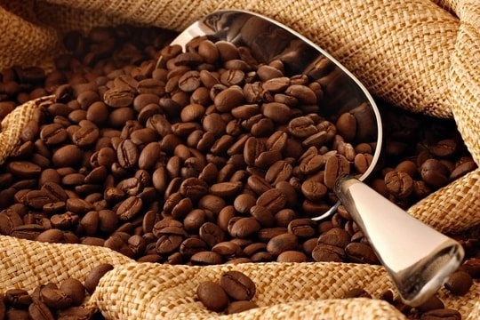 Giá cà phê hôm nay 25/12/2025: Robusta bật tăng mạnh, trong nước áp sát 95.000 đồng/kg