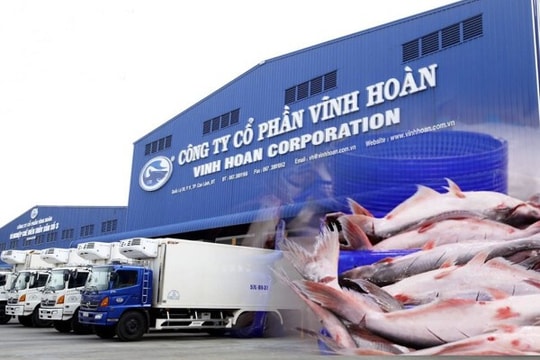 Doanh thu Vĩnh Hoàn chững lại trong tháng 11, áp lực hiện rõ ở các thị trường chủ lực