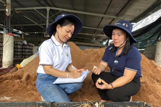 Mô hình nuôi trồng "độc lạ" của người nông dân An Giang