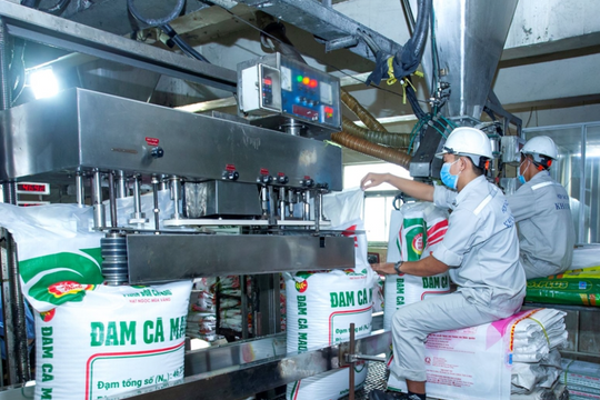 Chi phí khí hạ nhiệt, Đạm Cà Mau (DCM) đón thêm tín hiệu tích cực