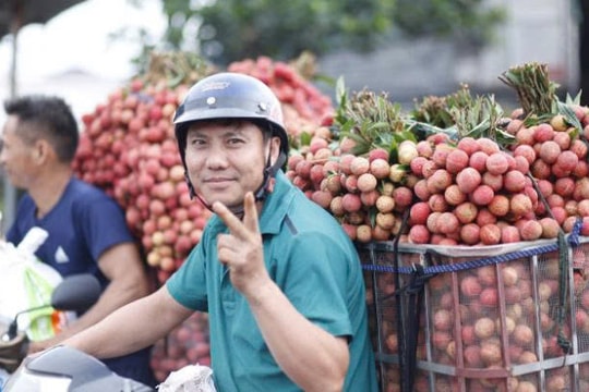 Nông dân Bắc Ninh chọn cây "đặc sản" làm sản phẩm chủ lực, vươn lên làm giàu