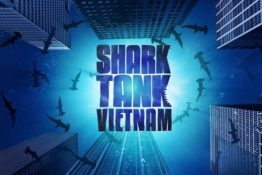 Nhiều "cá mập" từng góp mặt trong Shark Tank Việt Nam trốn thuế, lừa đảo