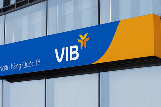 Thanh tra chỉ rõ nhiều tồn tại, hạn chế tại VIB Vũng Tàu