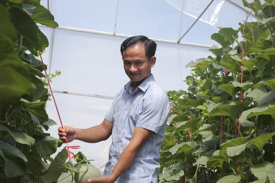 Nông dân Hà Tĩnh về quê thử hướng làm ăn mới, biến đất bỏ hoang thành mô hình thu tiền tỷ mỗi năm