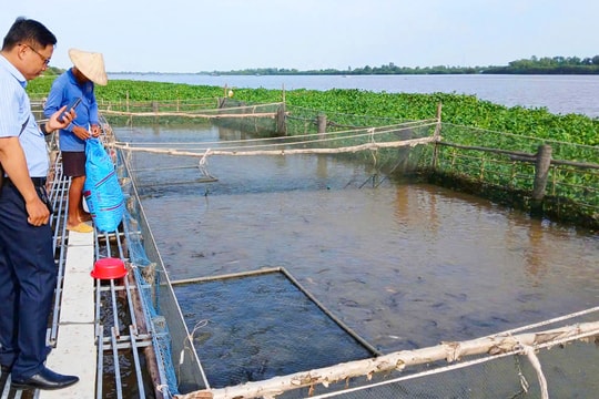 Nông dân An Giang sống với ao hồ, mở ra hướng làm giàu bền vững mới