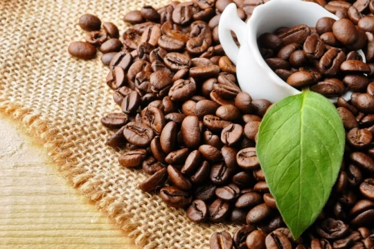 Giá cà phê hôm nay 31/12/2025: Thị trường trong nước điều chỉnh mạnh
