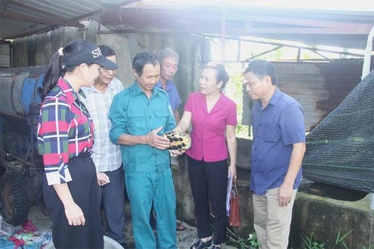 Nông dân Thanh Hóa biến vùng đất ngập úng thành hệ sinh thái sản xuất, mang lại doanh thu hàng tỷ đồng mỗi năm