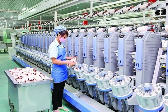 Dệt may Thành Công lên kế hoạch lợi nhuận kỷ lục, đơn hàng quý II đã lấp đầy hơn một nửa