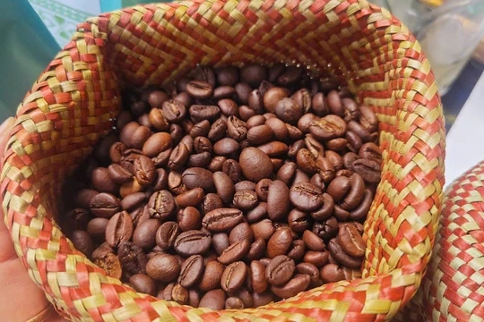 Giá cà phê hôm nay 2/1/2026: Tiến sát mốc 100.000 đồng/kg