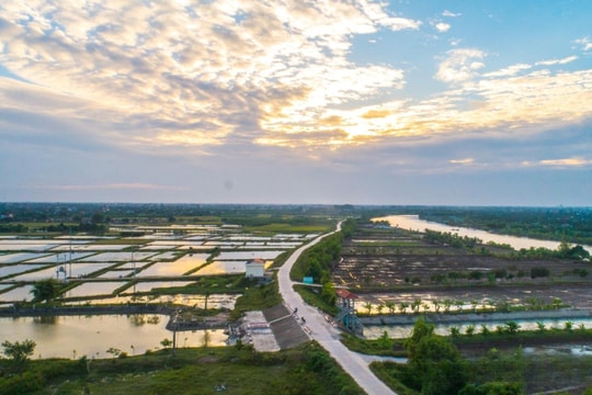 Sáp nhập mở rộng không gian kinh tế, Hải Phòng đặt kỳ vọng mới vào vùng đất "thuần nông" phía Tây Nam