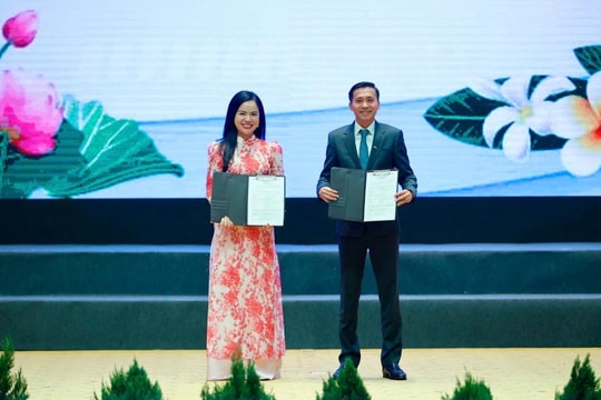 Savan 1 - dòng điện xuyên biên giới và vai trò của kinh tế tư nhân