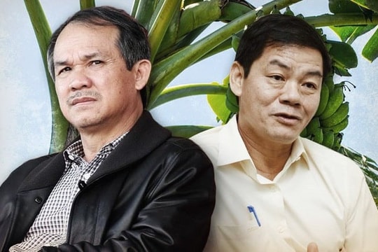 Nhìn lại hành trình gập ghềnh của HAGL Agrico do bầu Đức và tỷ phú Trần Bá Dương dẫn dắt
