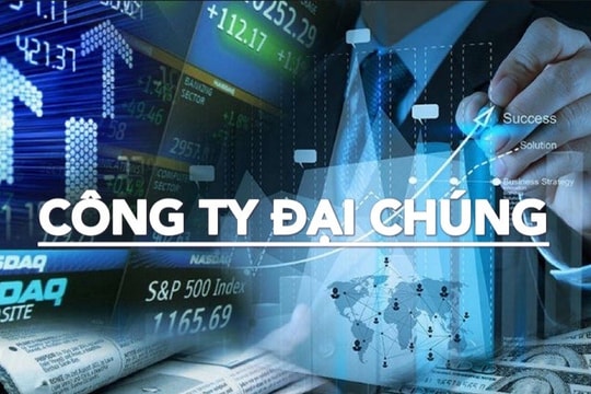 Hủy tư cách đại chúng: Câu chuyện không chỉ của riêng PV GAS