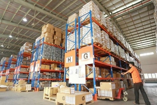 Tăng trưởng ở nhiều mảng, Digiworld (DGW) lần đầu vượt mốc doanh thu tỷ USD