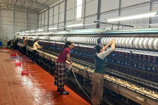 Nông dân Gia Lai đổi cây trồng, tìm ra sinh kế cho thu nhập hàng trăm triệu mỗi năm