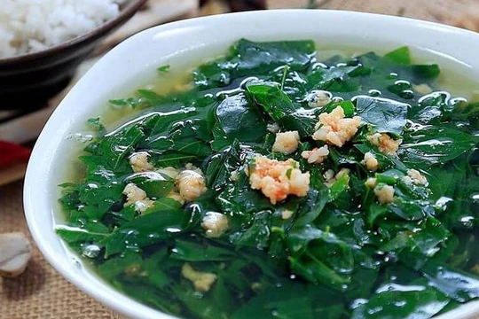 Ít ai ngờ rau xanh quen thuộc lại cực kỳ giàu canxi, tốt cho sức khỏe