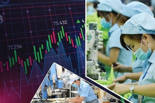 Cổ phiếu doanh nghiệp dệt may lớn trên sàn chứng khoán có biến, lãnh đạo công ty lập tức hành động