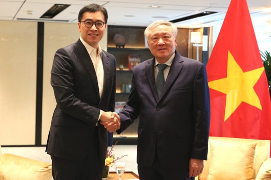 Khuyến khích các tổ chức tài chính quốc tế uy tín thúc đẩy hợp tác, đầu tư tại Việt Nam