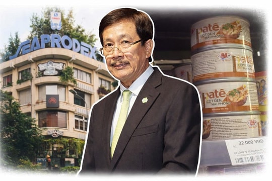 Hệ sinh thái Novaland (NVL) và những mối liên kết chồng chéo: Bất ngờ với sự xuất hiện của Đồ hộp Hạ Long (CAN)
