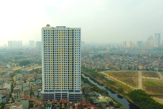 Lãnh đạo cấp cao liên tục đi lệnh khủng, cán cân sở hữu Xuân Mai Corp (XMC) có gì đáng chú ý?