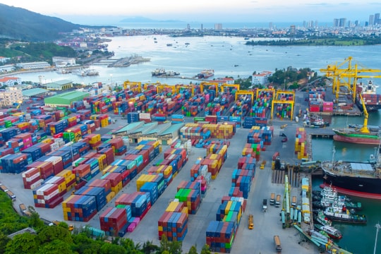 Lãi tăng, tiền dồi dào, 'gà đẻ trứng vàng' của VIMC lại báo tin vui