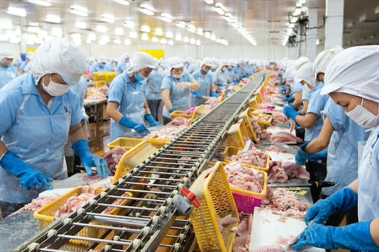 Lập kỷ lục lợi nhuận, cổ phiếu đầu ngành thủy sản này được kỳ vọng sớm tăng giá tới 48%