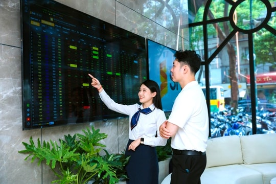 SHS vượt 21% kế hoạch lợi nhuận năm 2025, dần định hình mô hình tăng trưởng dựa trên “Service Branding”