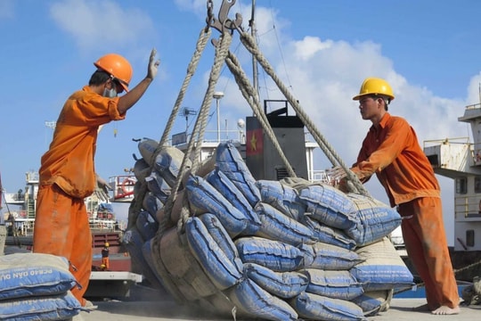 Kinh doanh ngày một kém sắc, doanh nghiệp xi măng này đối diện nguy cơ rời sàn HOSE