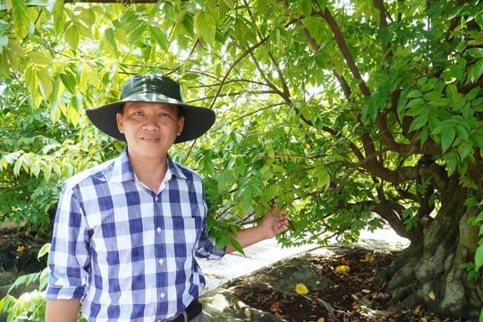 Người nông dân Cần Thơ chọn con đường trở thành "nghệ nhân", vừa thỏa mãn đam mê, vừa làm giàu bền vững
