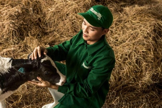 Thế cân bằng mới trong cấu trúc sở hữu Vinamilk (VNM): Liệu có khả năng xuất hiện một cuộc thâu tóm?