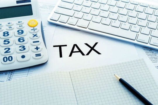 Từ năm 2026, người nộp thuế không phải khai và nộp lệ phí môn bài