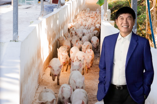 Bất ngờ với sản lượng và hiệu quả chăn nuôi heo của Hòa Phát năm 2025