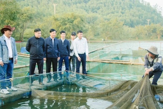 Nuôi dễ, lớn nhanh, đầu ra gắn chuỗi, nông dân Nghệ An đang mở ra hướng làm giàu mới