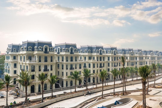 Sunshine Group báo lãi cả năm hơn 11.200 tỷ đồng, tổng tài sản gần 120.000 tỷ: đột phá ngoạn mục từ tái cấu trúc toàn diện