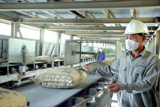 Biến động đáng chú ý tại một doanh nghiệp xi măng: Chính thức bị hủy niêm yết, loạt lãnh đạo cấp cao thoái lui