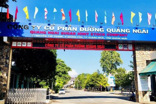 Lợi nhuận năm 2025 giảm 19%, Đường Quảng Ngãi (QNS) đứt mạch tăng trưởng
