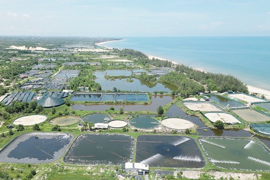 Lâm Đồng định hướng vùng đất 254km2 phía cực Nam trở thành một “đầu mối” công nghiệp – năng lượng ven biển sau sáp nhập