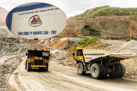 Cổ phiếu công ty chuyên đào “kho báu” tại Việt Nam nổi sóng bất chấp rủi ro về tỷ lệ sở hữu