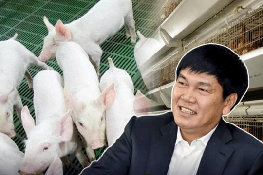 Doanh nghiệp chuyên chăn heo, nuôi gà của tỷ phú Trần Đình Long lên HOSE, thị giá đắt hơn cả HPG
