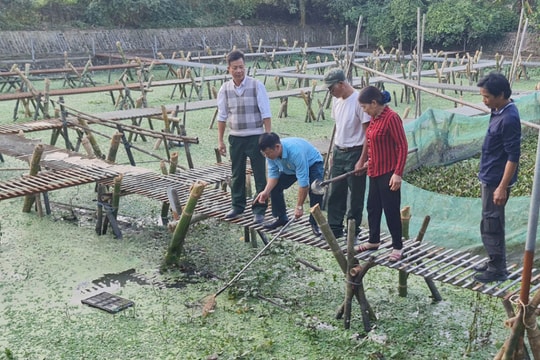 Mô hình nuôi con vật có vỏ đang mang lại thu nhập bền vững cho nông dân Hưng Yên