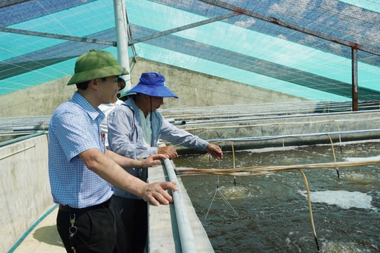 Nông dân Quảng Trị thu lãi gần 1 tỷ đồng mỗi năm nhờ mô hình này