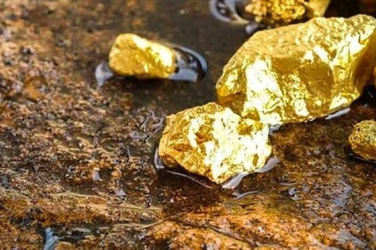 Gần 1 tấn vàng được khai thác trong năm 2025 bởi một doanh nghiệp trong nước